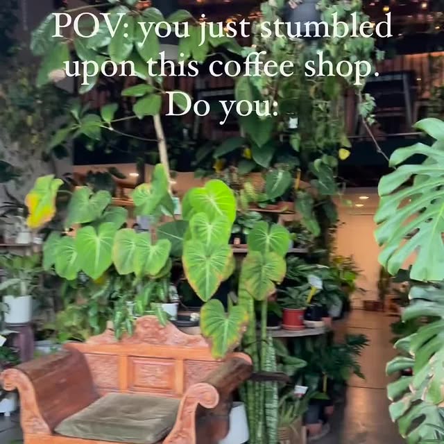 Post by peoplewithplants_official