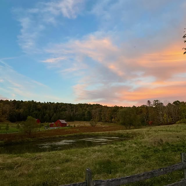 Post by callie.deedee