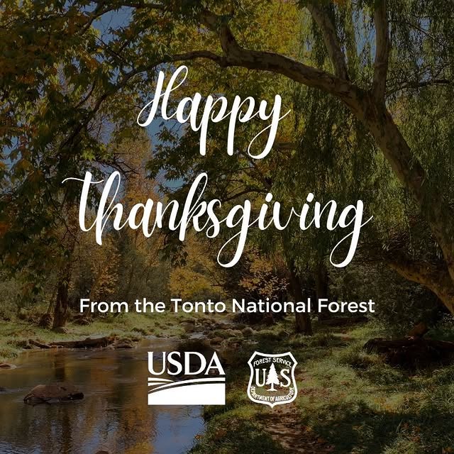 Post by tontonationalforest