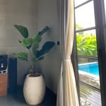 FF_Nursery Medan's profile picture