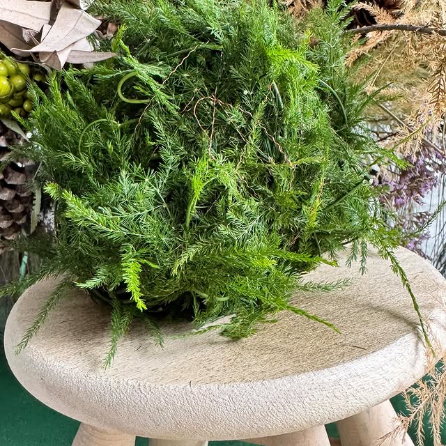 Post by taufferdeisi