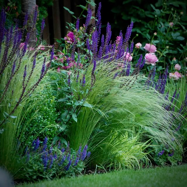 Post by _garden_plan