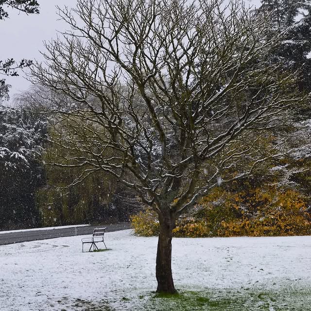 Post by lismaryscottage