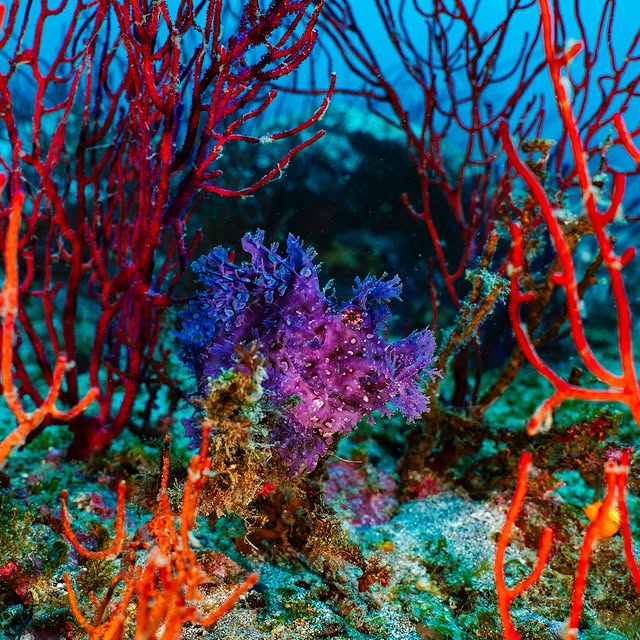 Post by wildkirinphotography