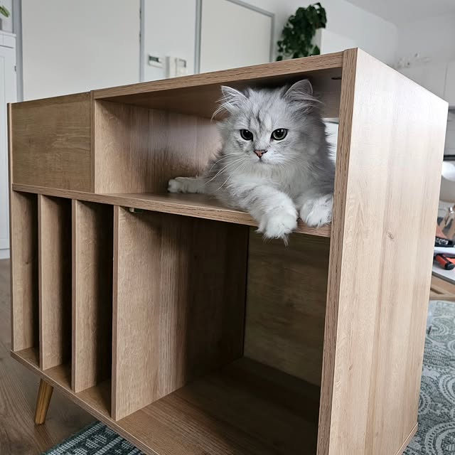 Post by ollie.frenkie