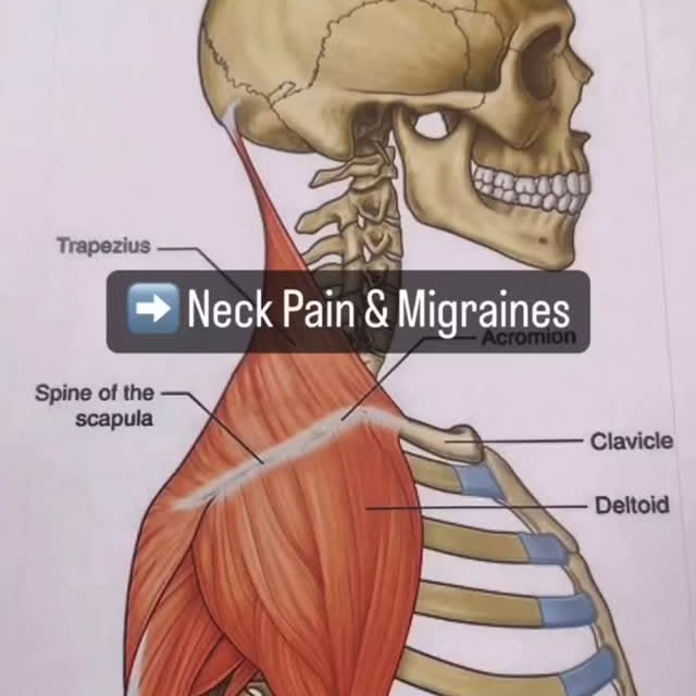 Post by medicalmassagesd