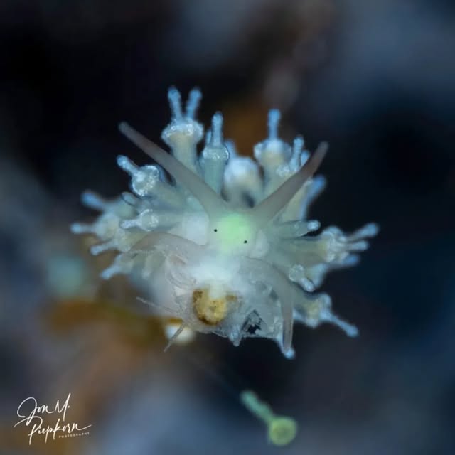 Post by submariner_202