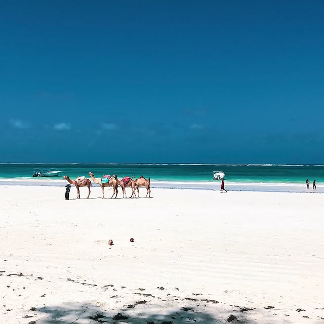 Post by villacollective