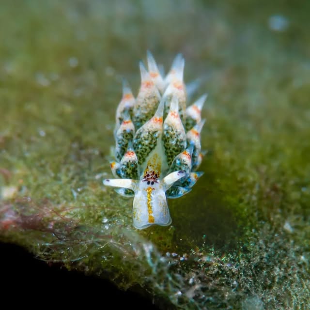 Post by submariner_202