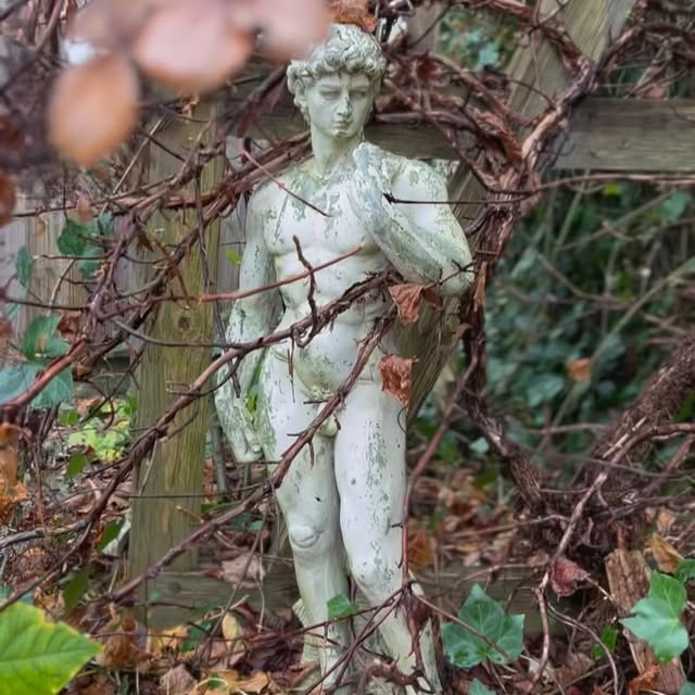 Post by ina_im_gruenen