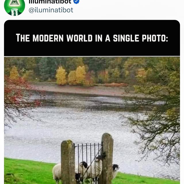 Post by iamshahinmalek