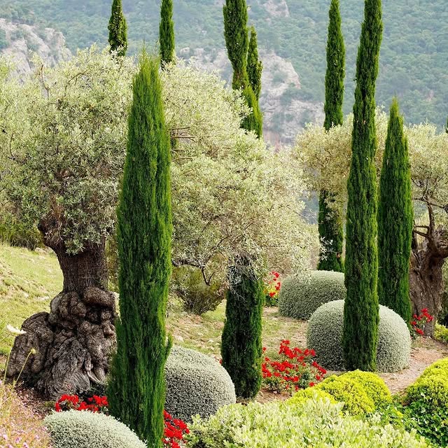 Post by edenrowegardens