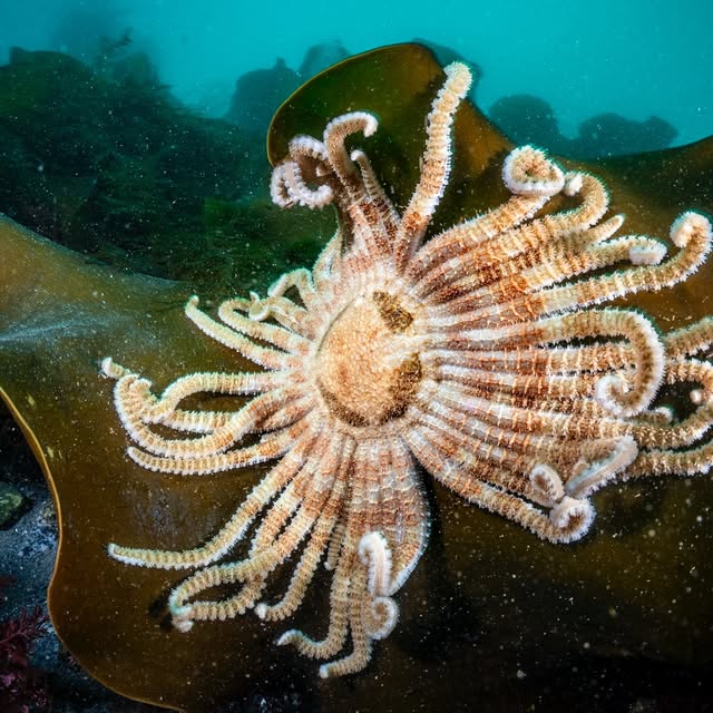 Post by underwaterpat