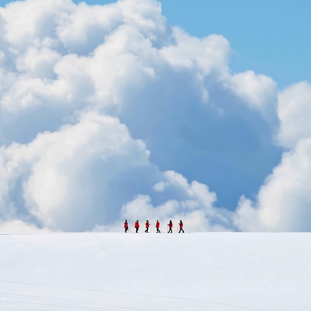 Post by accidentallywesanderson