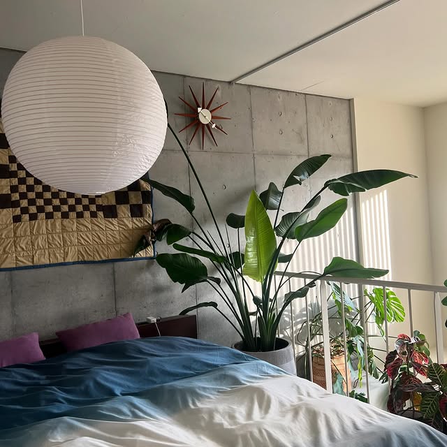 Post by _mojikaroom_