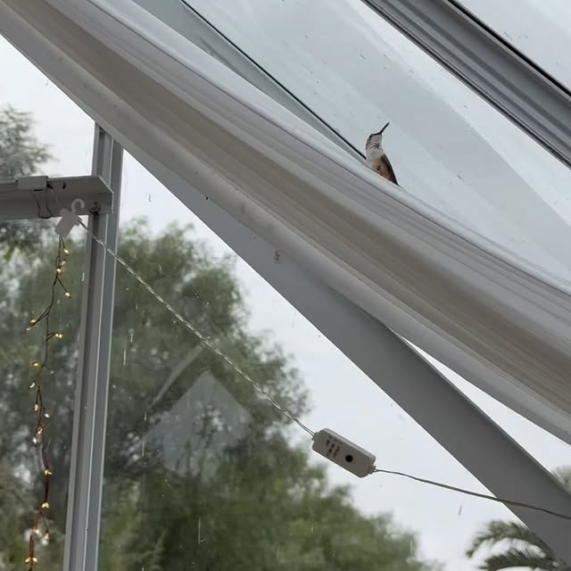 Post by rootedinthyme