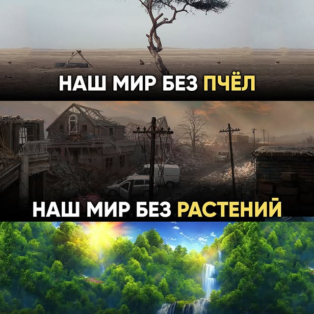 Post by great_life_union