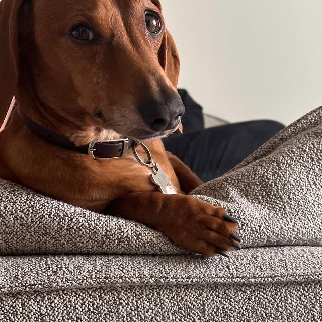 Post by _____yagmurr