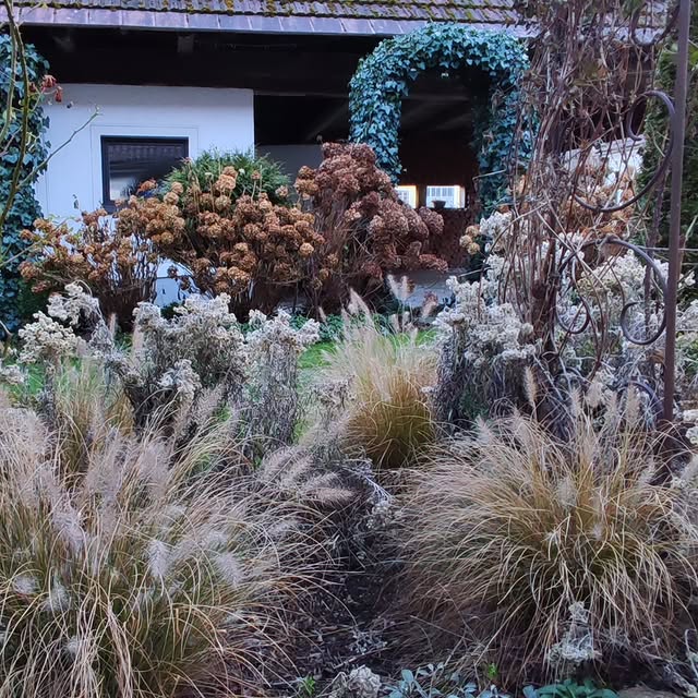 Post by gartenheidisuess