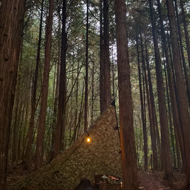 Post by j_pot_camp78