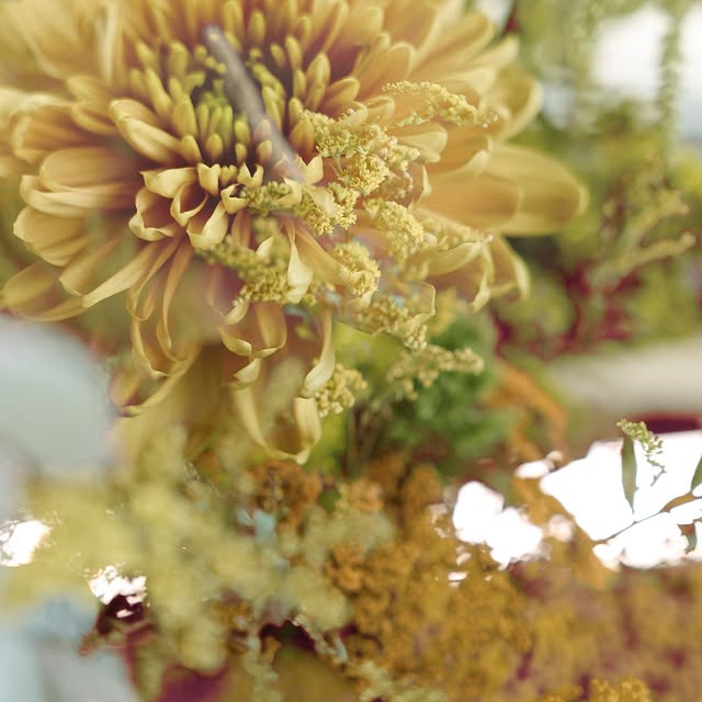 Post by hannnasofiaa