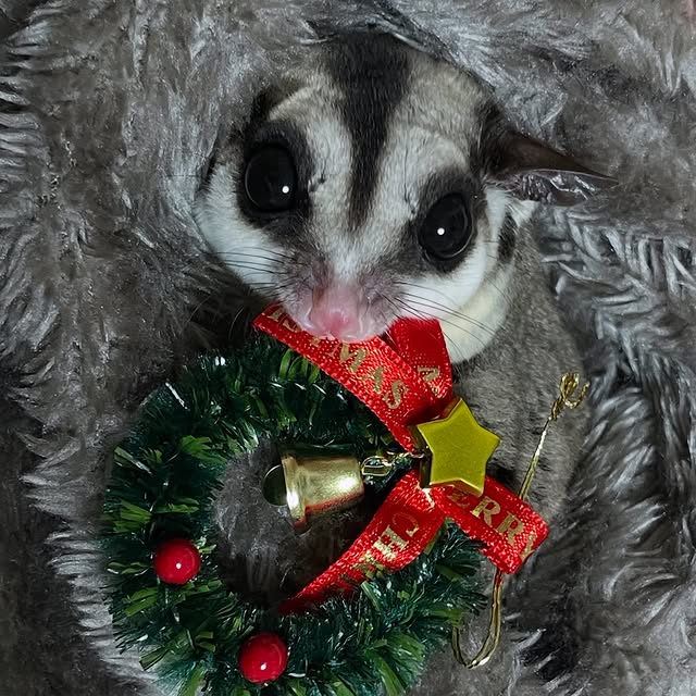 Post by rio_amatsuka