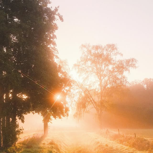 Post by padparadscha_sapphires