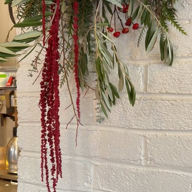 Post by botanica_design