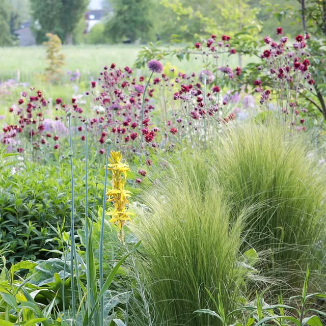 Post by jelle_grintjes