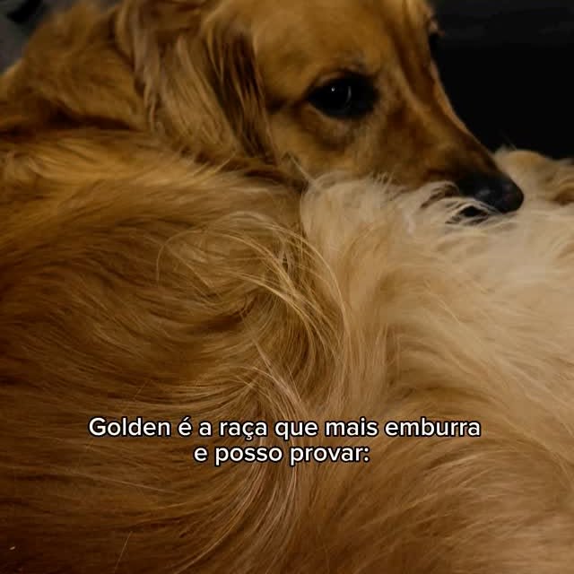 Post by atena_goldezinha