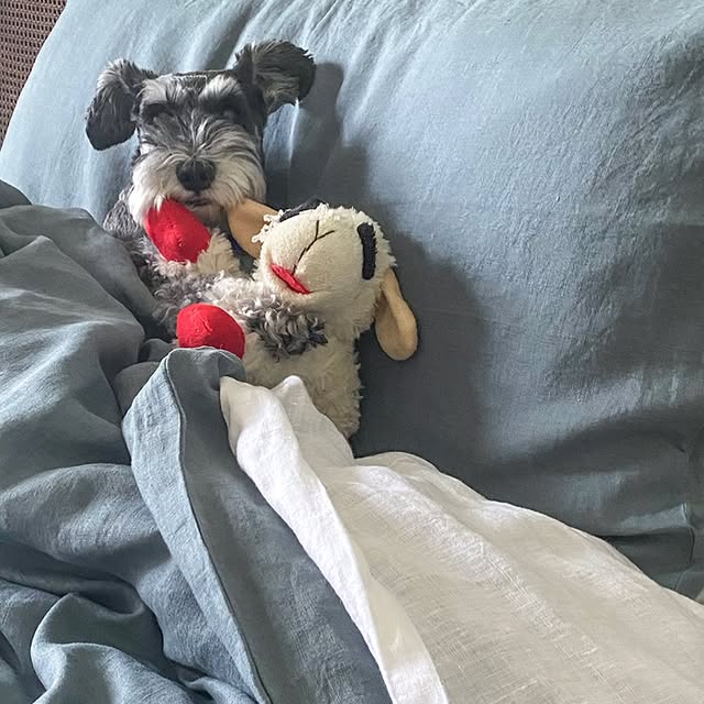 Post by edithandevelyn