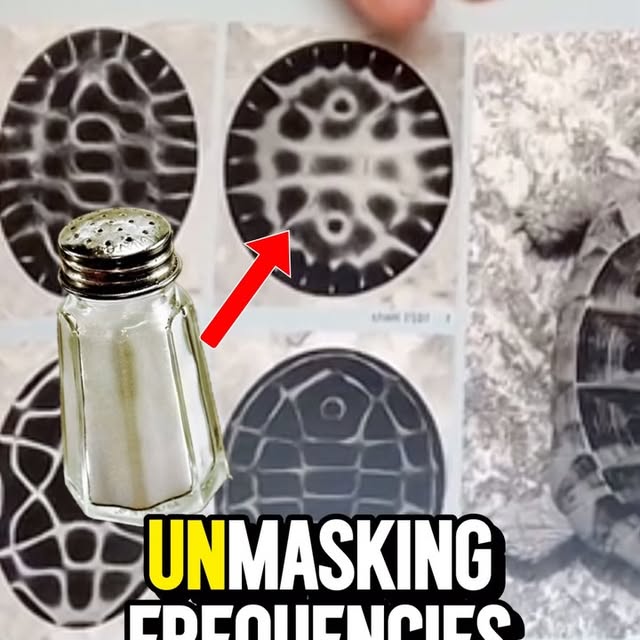 Post by cultivateelev8