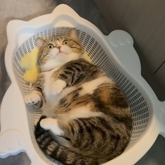 Post by landyliu0610