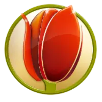 Tulip Supermarket's profile picture