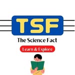 thesciencefact_com