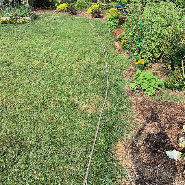 Post by jaysgardenjournal