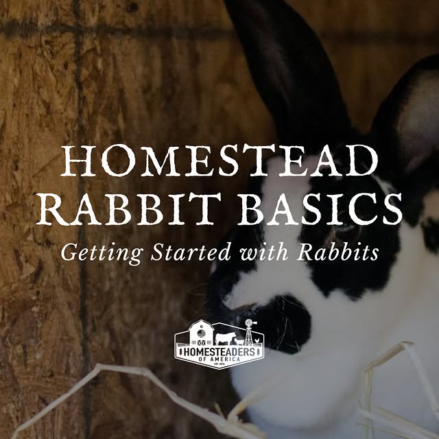 Post by homesteadersofamerica