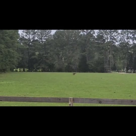 Post by thecrowdedfarmhouse