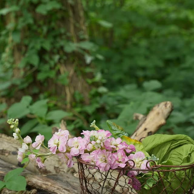 Post by zarasweetartmold