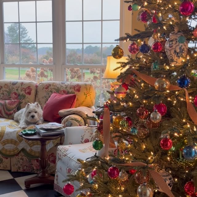 Post by houseandgardendog