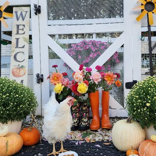 Post by happydaysfarm