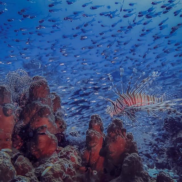 Post by floodedcamera