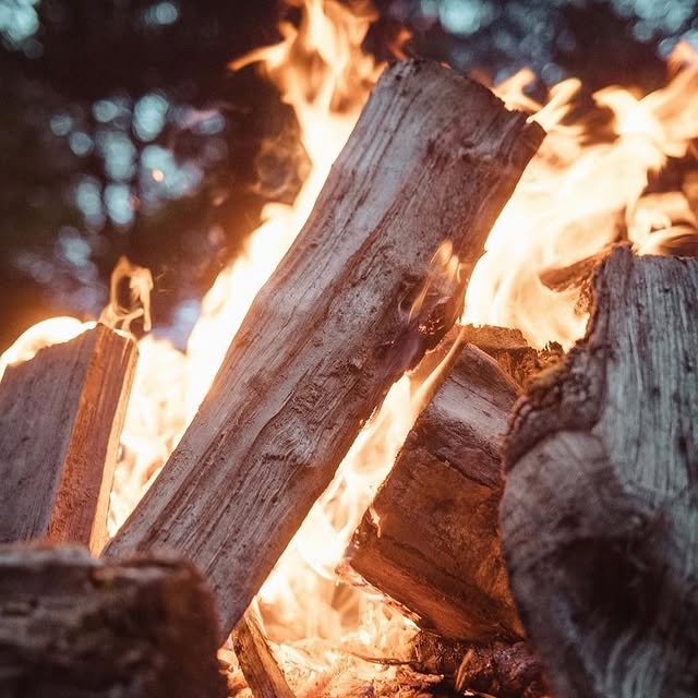 Post by hollowcatskills