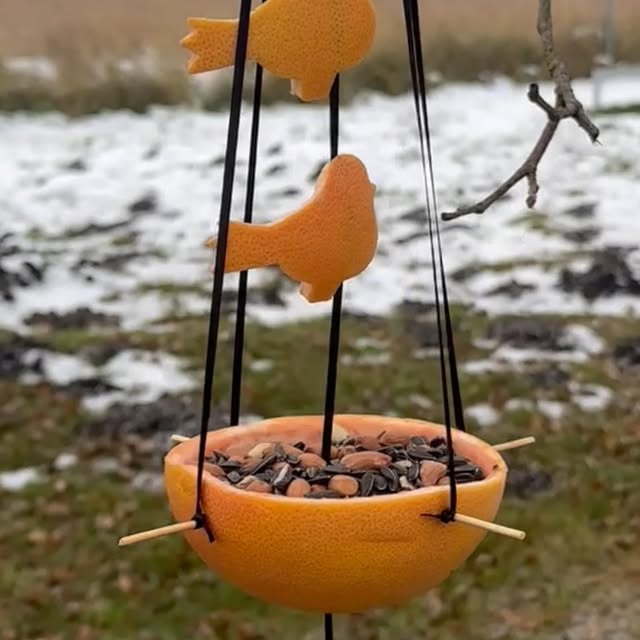 Post by srdce_z_jerabin