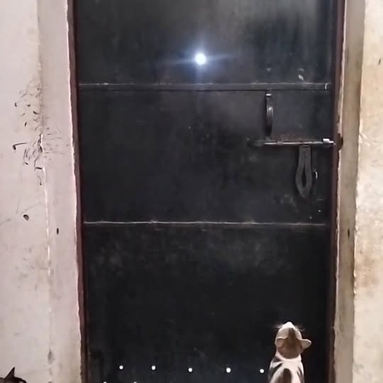 Post by ecom_with_moin