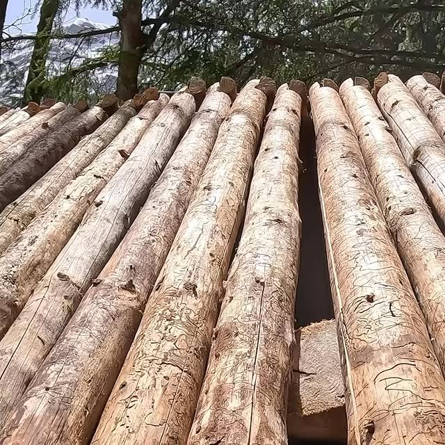 Post by antonio_offgrid