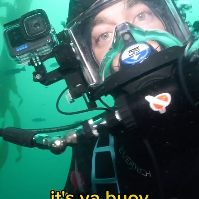 Post by underwaterpat