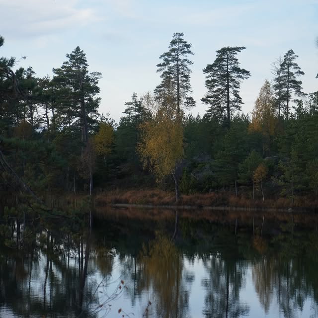 Post by outdoor_nordic