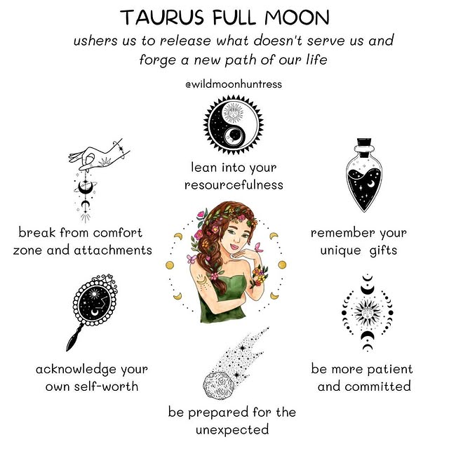 Post by wildmoonhuntress