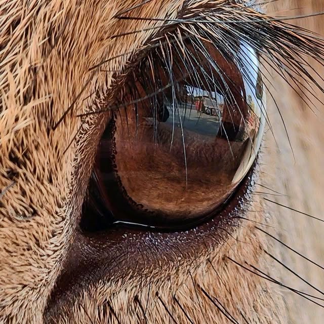 Post by nubiasmartphone